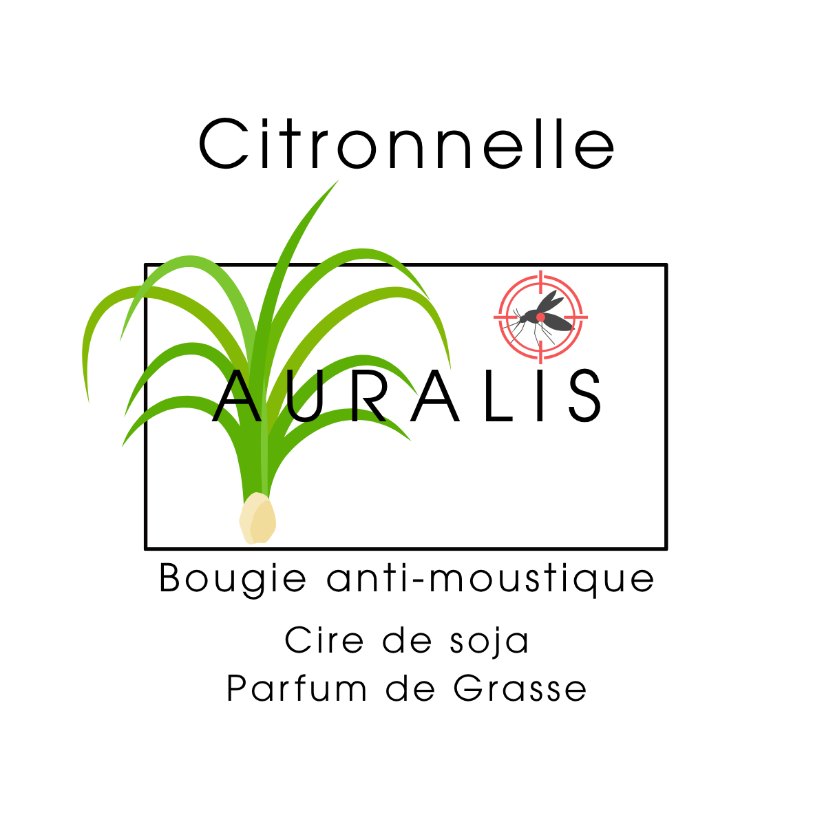 Bougie Citronnelle anti-moustique