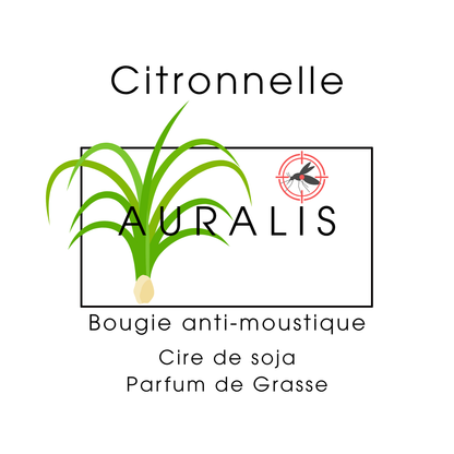 Bougie Citronnelle anti-moustique
